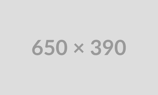 650X390